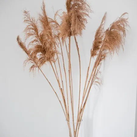 Samaras Limenaria (Thasos)