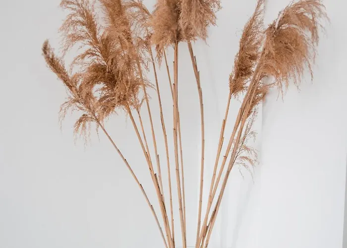 Samaras 리메나리아